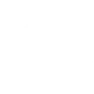 Rinderleasing-Angebot
